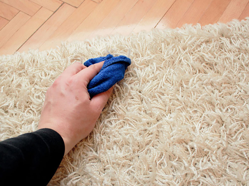 پاک کردن لکه ادرار از سطح فرش - قالیشویی مهباف