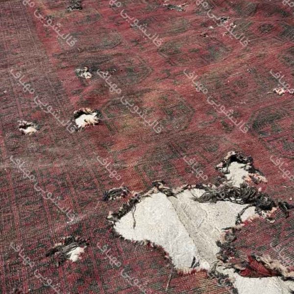 بید خوردگی فرش