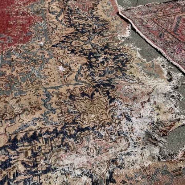 بید خوردگی فرش