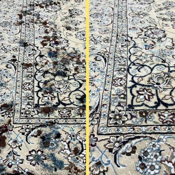 بید خوردگی فرش