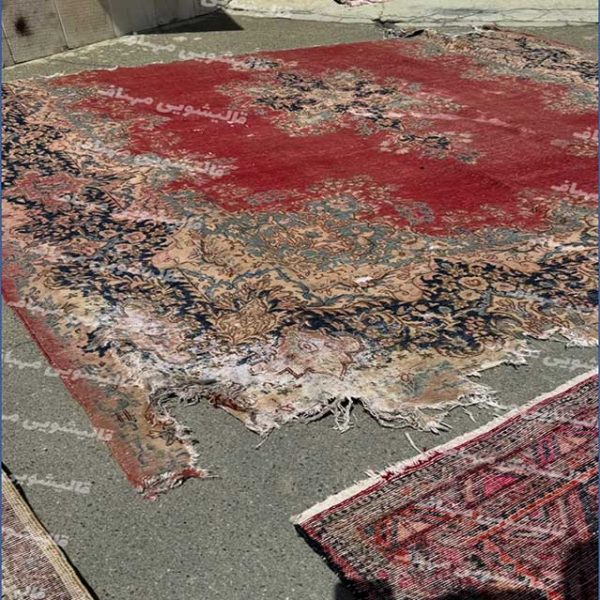 جلوگیری از بید زدگی فرش جلوگیری از بید زدگی فرش