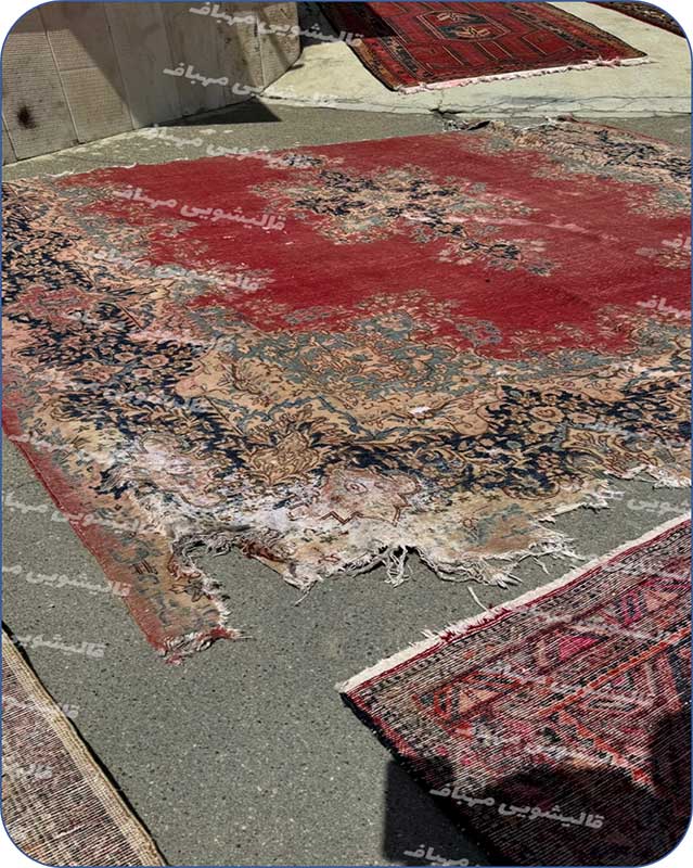 جلوگیری از بید زدگی فرش