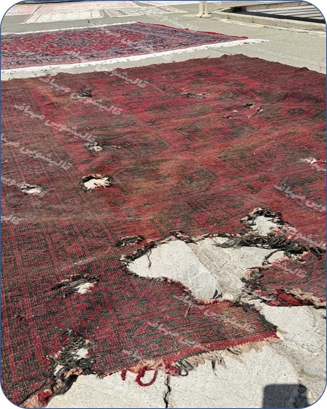 جلوگیری از بید خوردگی فرش