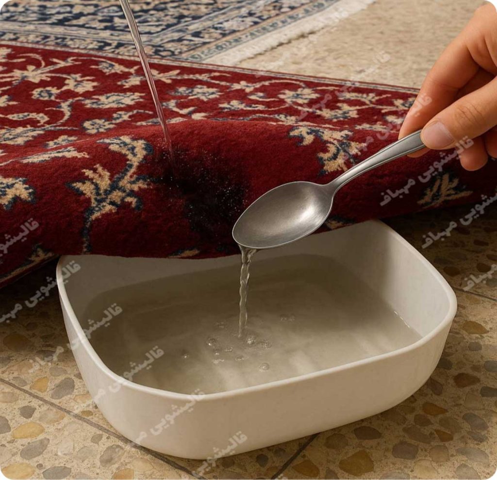 اصولی پاک‌سازی ادرار و مدفوع از فرش